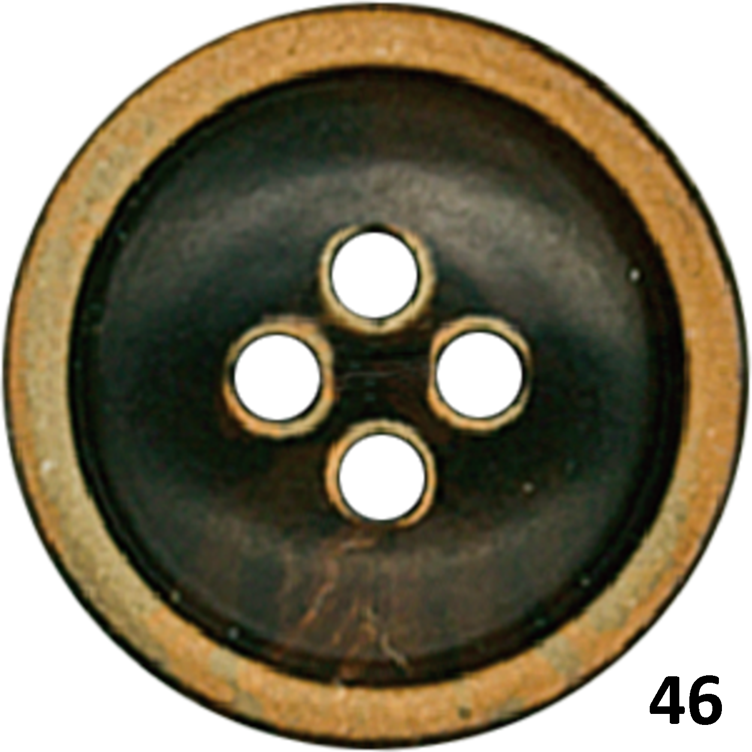 BBHORN-2