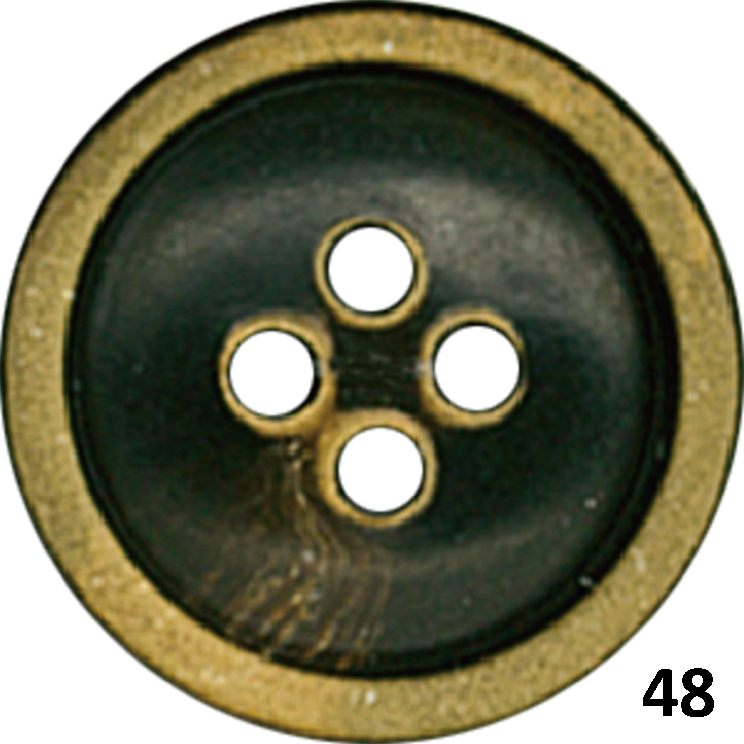 BBHORN-2