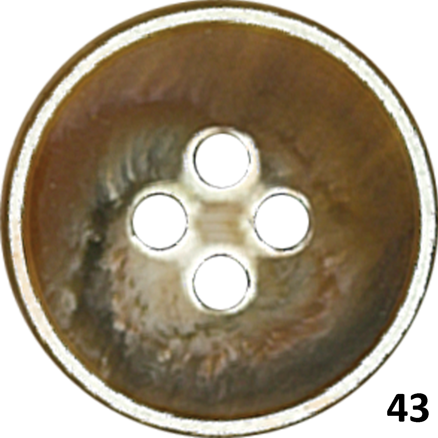 Z-SS6