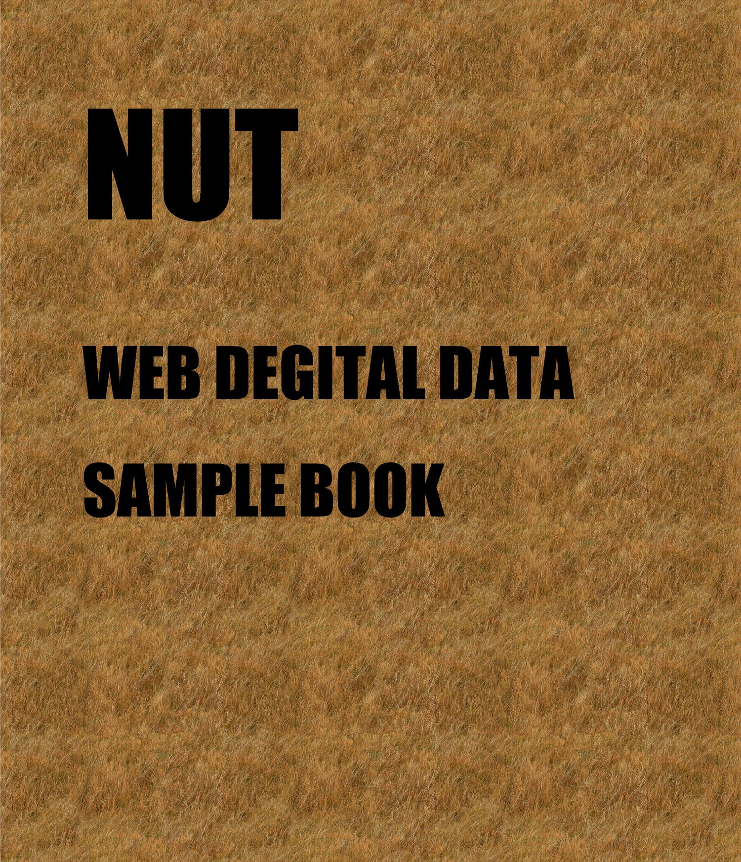 NUT(WEB SAMPLE BOOK)