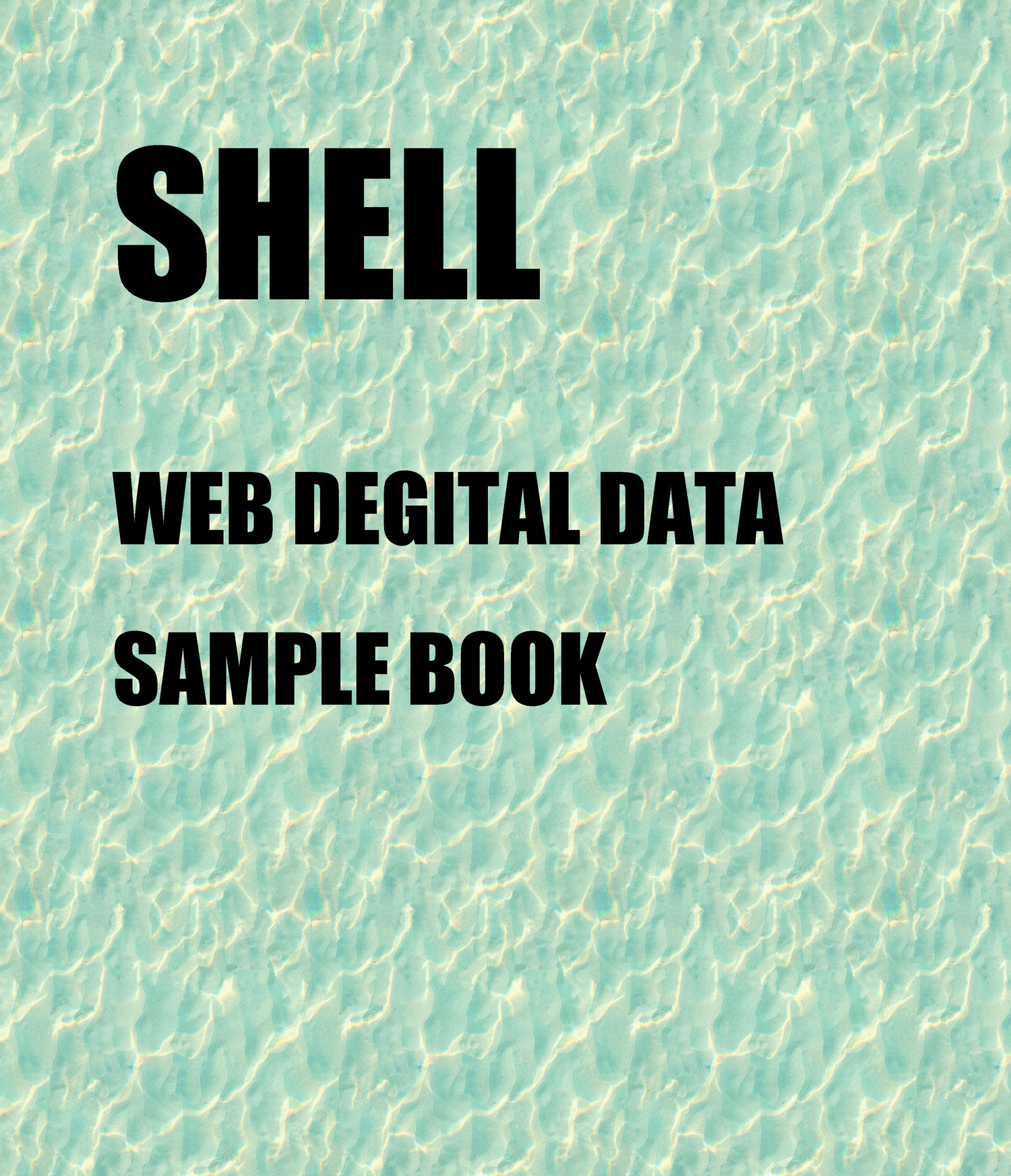 SHELL(WEB SAMPLE BOOK)