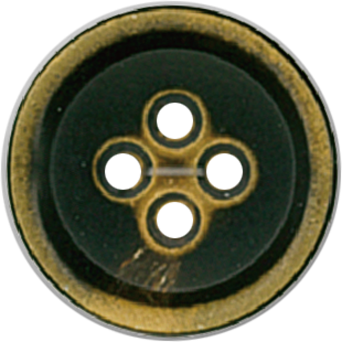 BBHORN-1