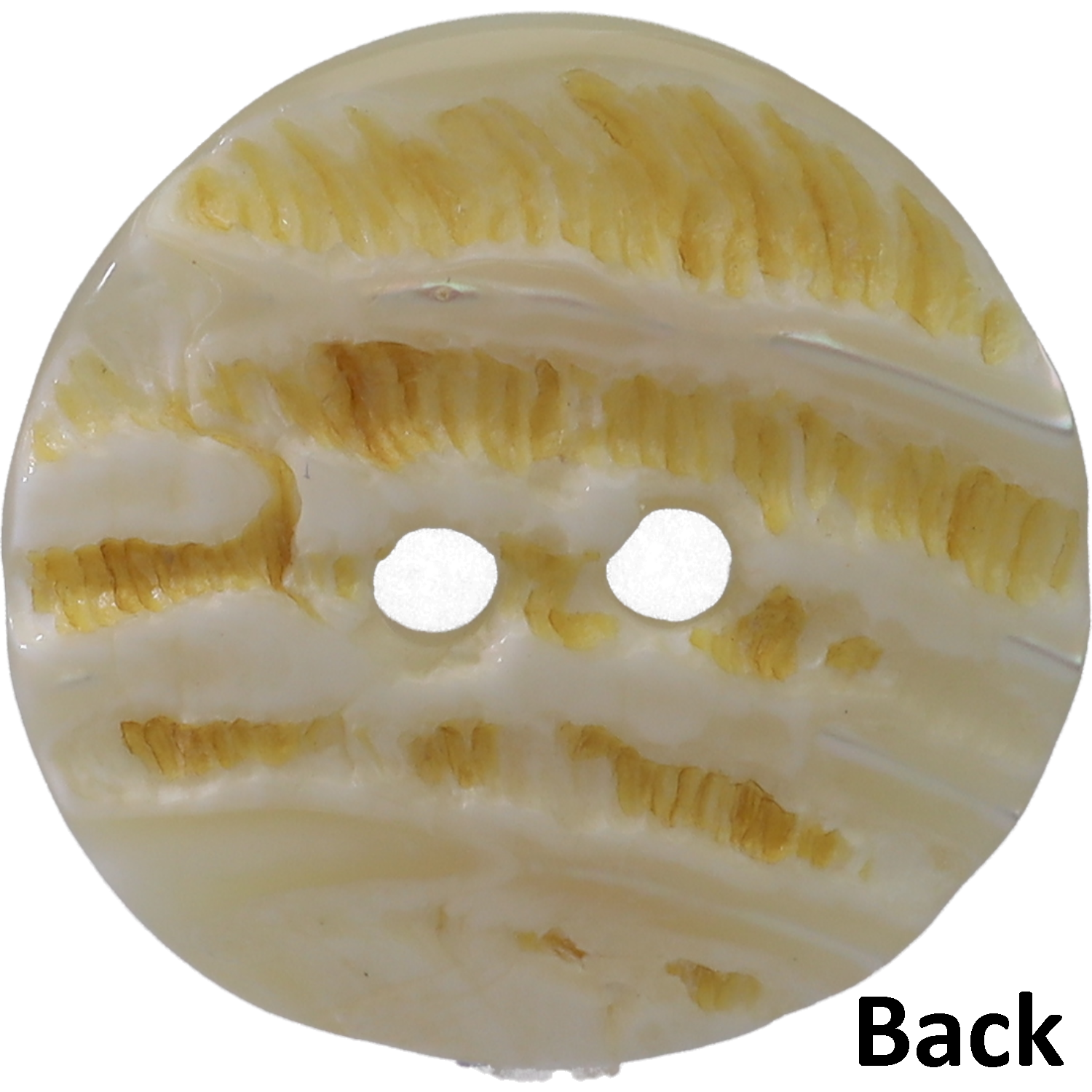 巻き貝♡様 宝石のような輝きはまるでアクセサリー。約100種のデザインから