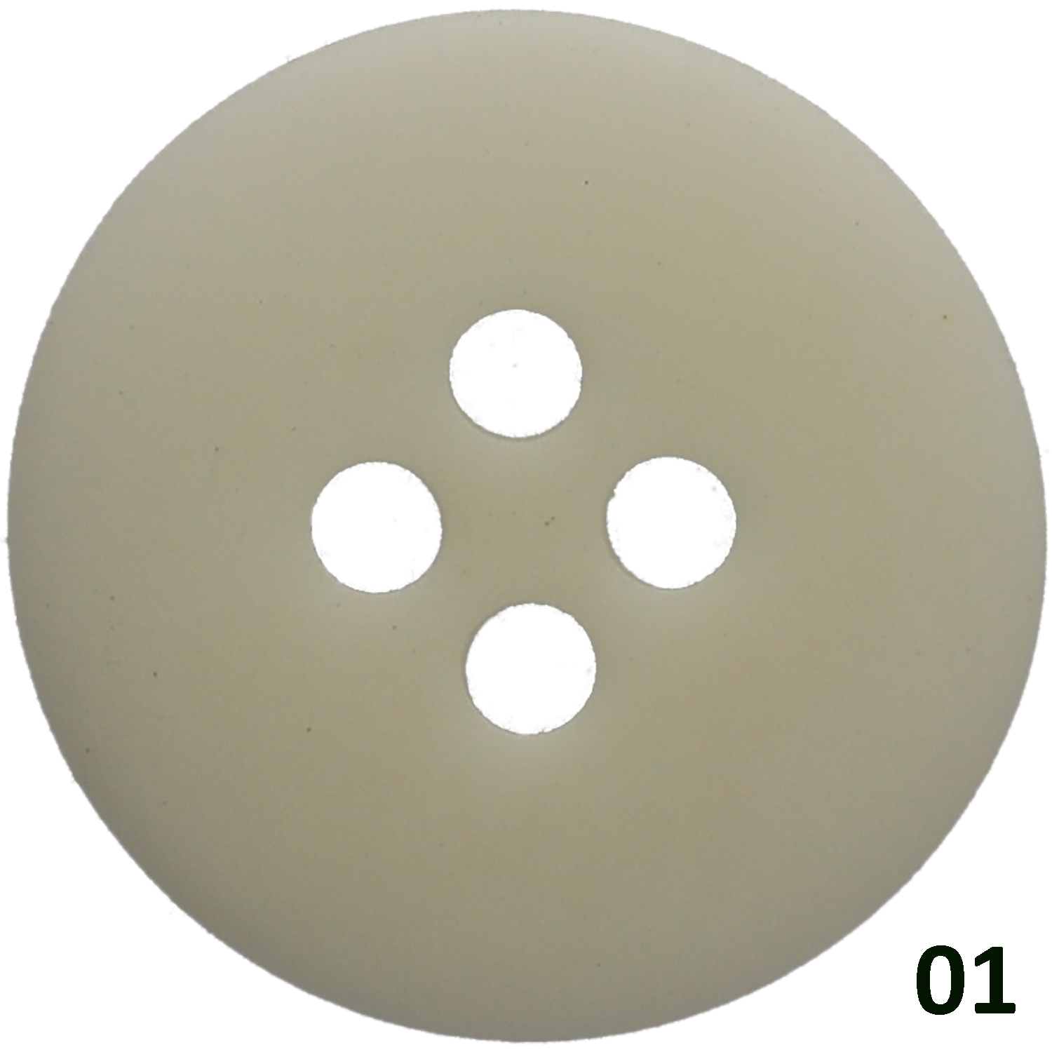 ≪椰子≫ 今この時代に再注目されているナチュラル素材。地球に、人に