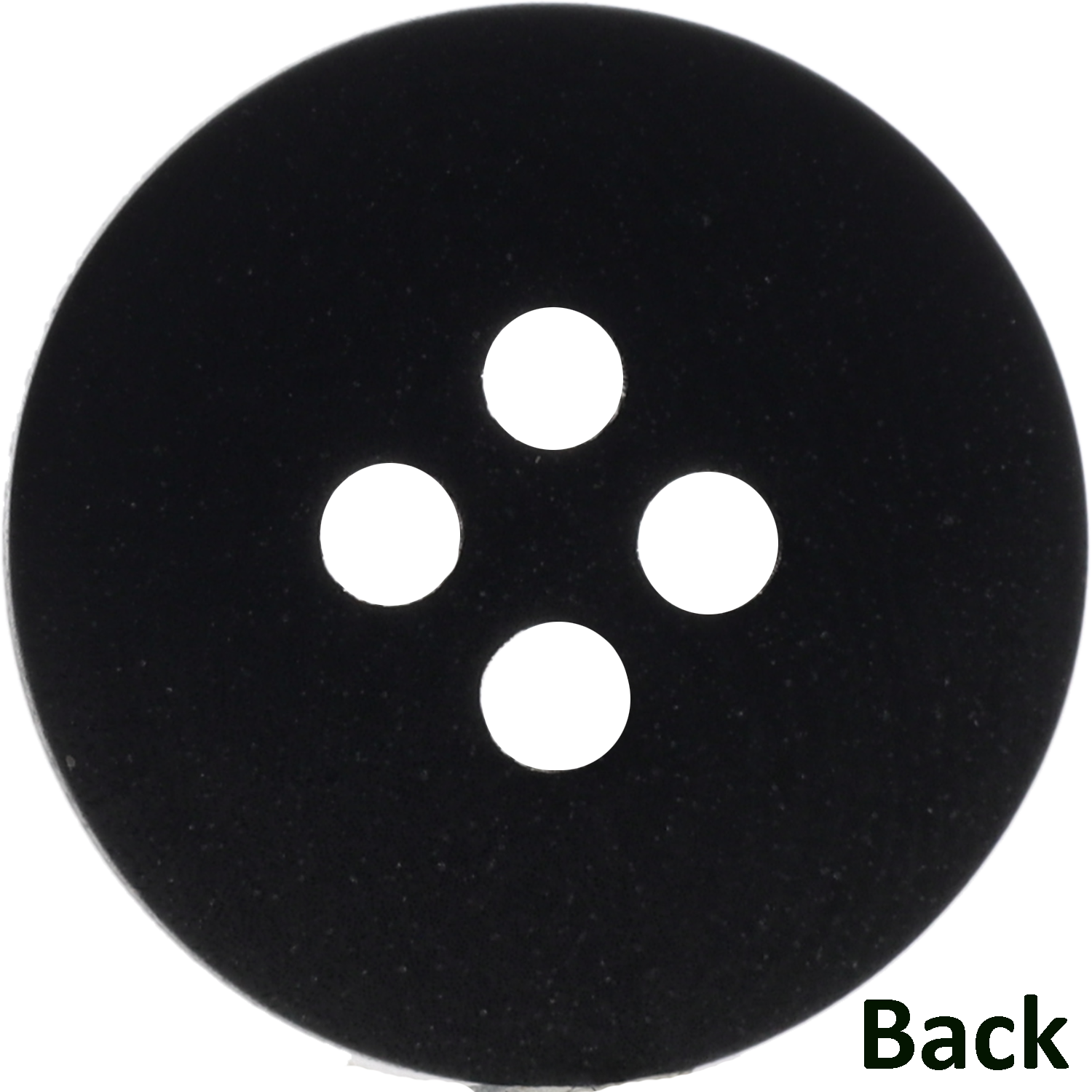 ≪椰子≫ 今この時代に再注目されているナチュラル素材。地球に、人に