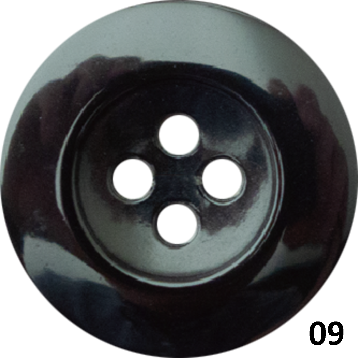 SCOTCH-304